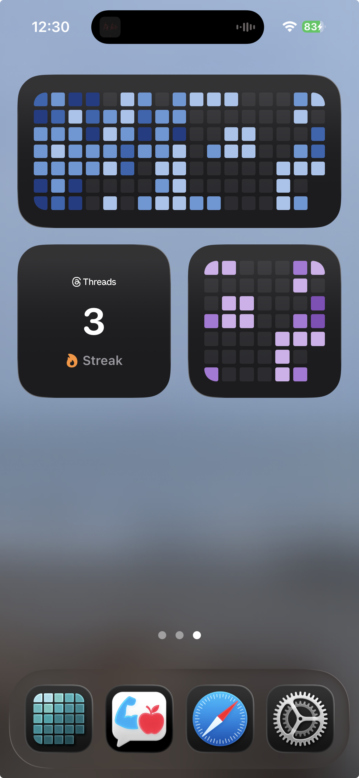 DailySquares Home Screen widgets screenshot